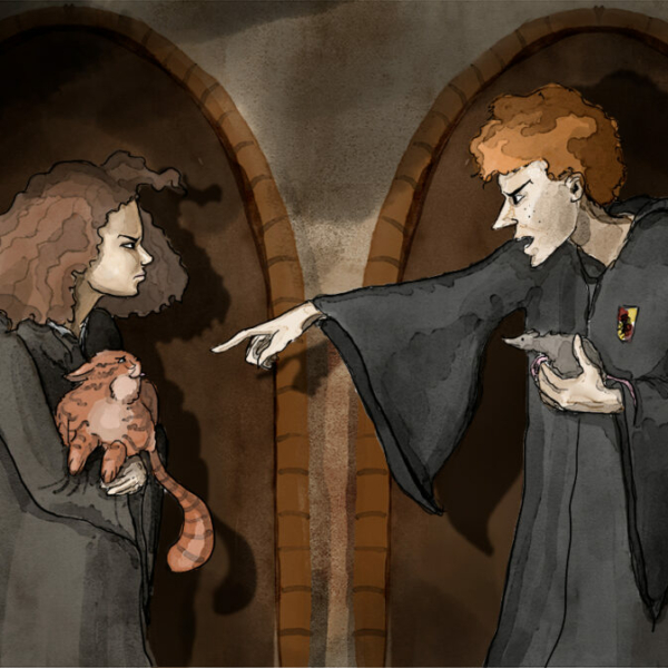 Ilustracja: Harry Potter, Hermiona i Ron