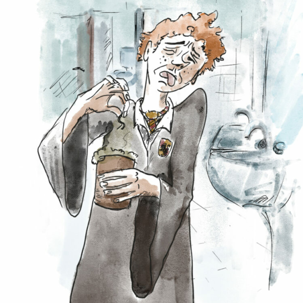 Ilustracja: Harry Potter, Eliksir wielosokowy